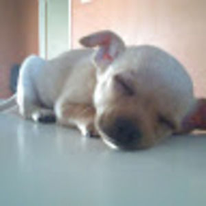 Meet your Posher, Brandyn